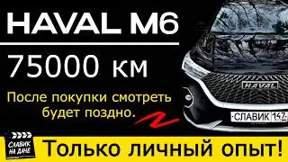Haval M6, 75,000 km, owner review