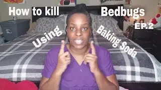 HOW TO KILL BEDBUGS | #Using Baking Soda Ep.2!