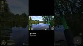 Неожиданная рыбка #комаринка #комариное #рр4 #рыбалка