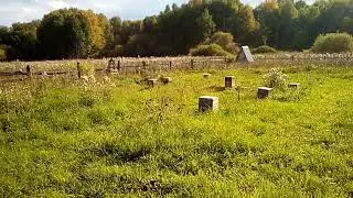 осенний миг на пасеке сентябрь 2023.