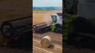 Claas Lexion Wheat Harvest #farming #claas #farmer