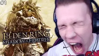 Elden Ring Pro vs. Shadow of the Erdtree (He Cries)