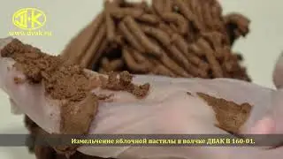 Измельчение пастилы в волчке ДВАК В 160-01