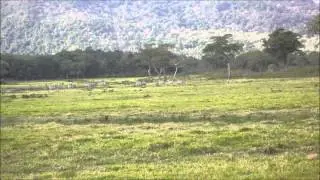 DJ Hans - Baki ta sab