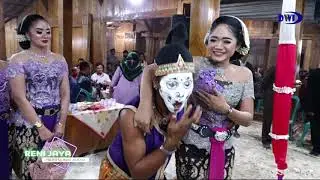 TANGAN KUCING  BERANI PEGANG