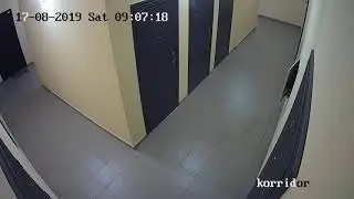 9 день после смерти. Что это было?