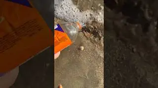 Нашли рака в море 