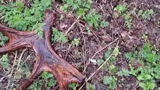 Второй на речке.