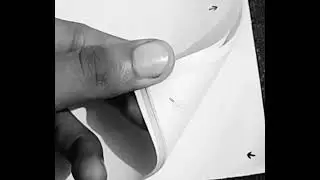 Flickering Effect : A technique of Still to Moving | 