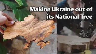 Making a map of Ukraine out of its National Tree