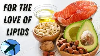 For the Love of LIPIDS