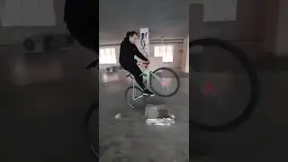 Байкчек с Артуром