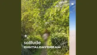 solitude (feat. evgeniy curie, musicbyrishi, after changes & itsCOLD.)