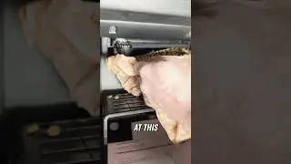 Shocking Discovery: Mice Infestation In Air Filter