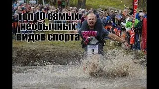 топ 10 самых необычных видов спорта