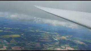 winglety