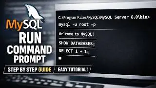 Run MySQL in Command Prompt in 3 Minutes – Beginner Friendly!