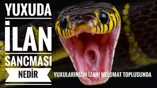 Yuxuda ilan sancması ne demekdir - Yuxuda ilan gormek 
