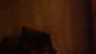 soirée d'halloween