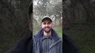 Отзыв Владимир Дворянский.