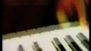 The Jive Turkey At Play