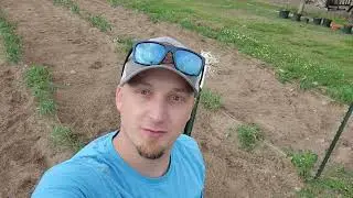 It's a Work in Progress - Starting a Farm in Virginia