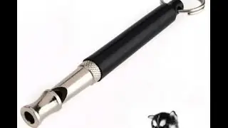 Ultrasonic Dog Whistle Review