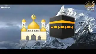 Лучшие женщины....