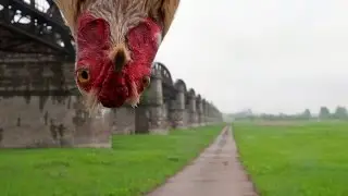 Прикол так прикол😂😂😂💪