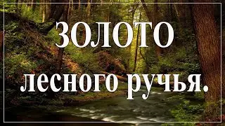 Золото лесного ручья (сборка)