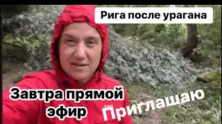 Последствия Урагана в Латвии и анонс прямого эфира 31.07
