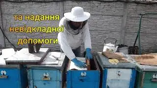 Потрава бджіл та надання першої допомоги бджолосім'ям після отруєння.