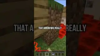 Smartest Minecraft Player (420690+ iq)