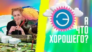 Дороги из подгузников, новый заповедник в России и ИИ на службе ученых. #хорошиеновости за неделю
