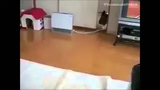 My Edited Video