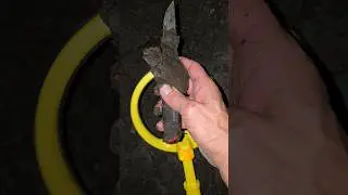 Now it's won't kill someone