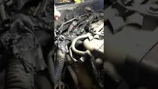 Прогорела заглушка EGR TOYOTO land cruiser