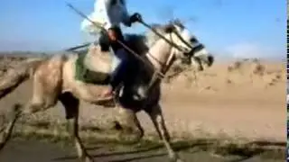 Goy demir at.Berde