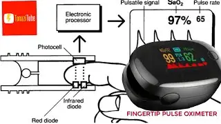 How to use a Fingertip Pulse Oximeter at Home | Tips to use Pulse Oximeter |