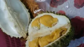 Durian Kampung Isi Kuning