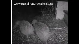 Tumeke's Visitor