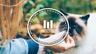 NO COPYRIGHT MUSIC | BACK IN SUMMER   Nicolai Heidlas