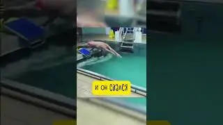 Вот Почему Течение — ЭТО ОПАСНО