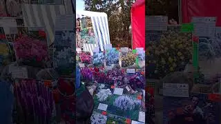 Весенняя ярмарка, Дворец искусств, Бобруйск, 27 марта 2024 года