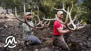 2 YEARS OF SHEDS FROM ONE BULL! | #SHEDCRUSH EP.2