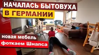 5 - КВАРТИРУ в ГЕРМАНИИ ЗАПОЛНЯЕМ МЕБЕЛЬЮ / ПОЧЕМУ 90% НЕМЦЕВ НЕ ВЕШАЮТ ШТОРЫ / НАШ НЕСПОКОЙНЫЙ КОТ