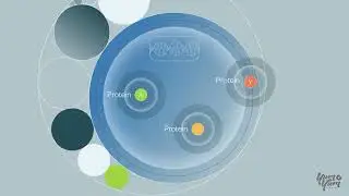 BPS Bioscience | Explainer Video by Yum Yum Videos