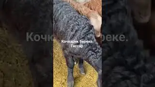 25 февраля 2024 г.
