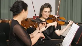 The Orchestral String Section: An Introduction (Philharmonia Orchestra)