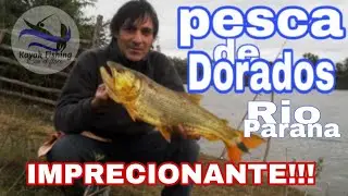 Pesca de DORADOS Río Parana